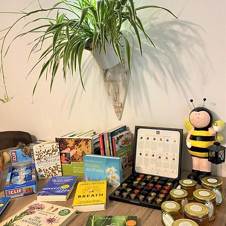 Am Zwoelferkogel Appartements 萨尔巴赫 外观 照片