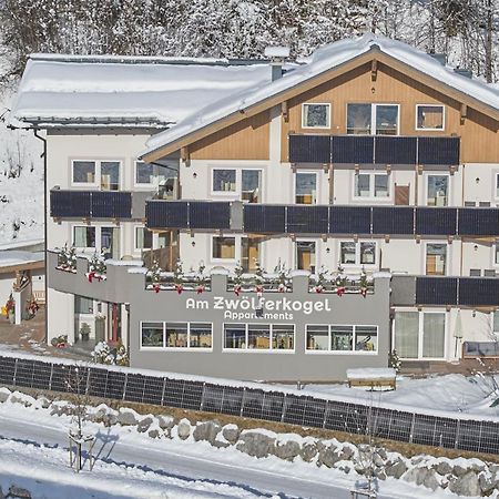 Am Zwoelferkogel Appartements 萨尔巴赫 外观 照片