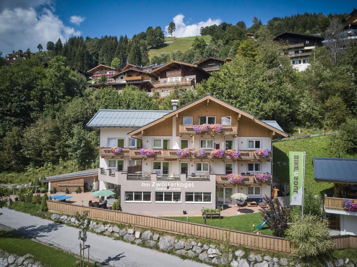Am Zwoelferkogel Appartements 萨尔巴赫 外观 照片