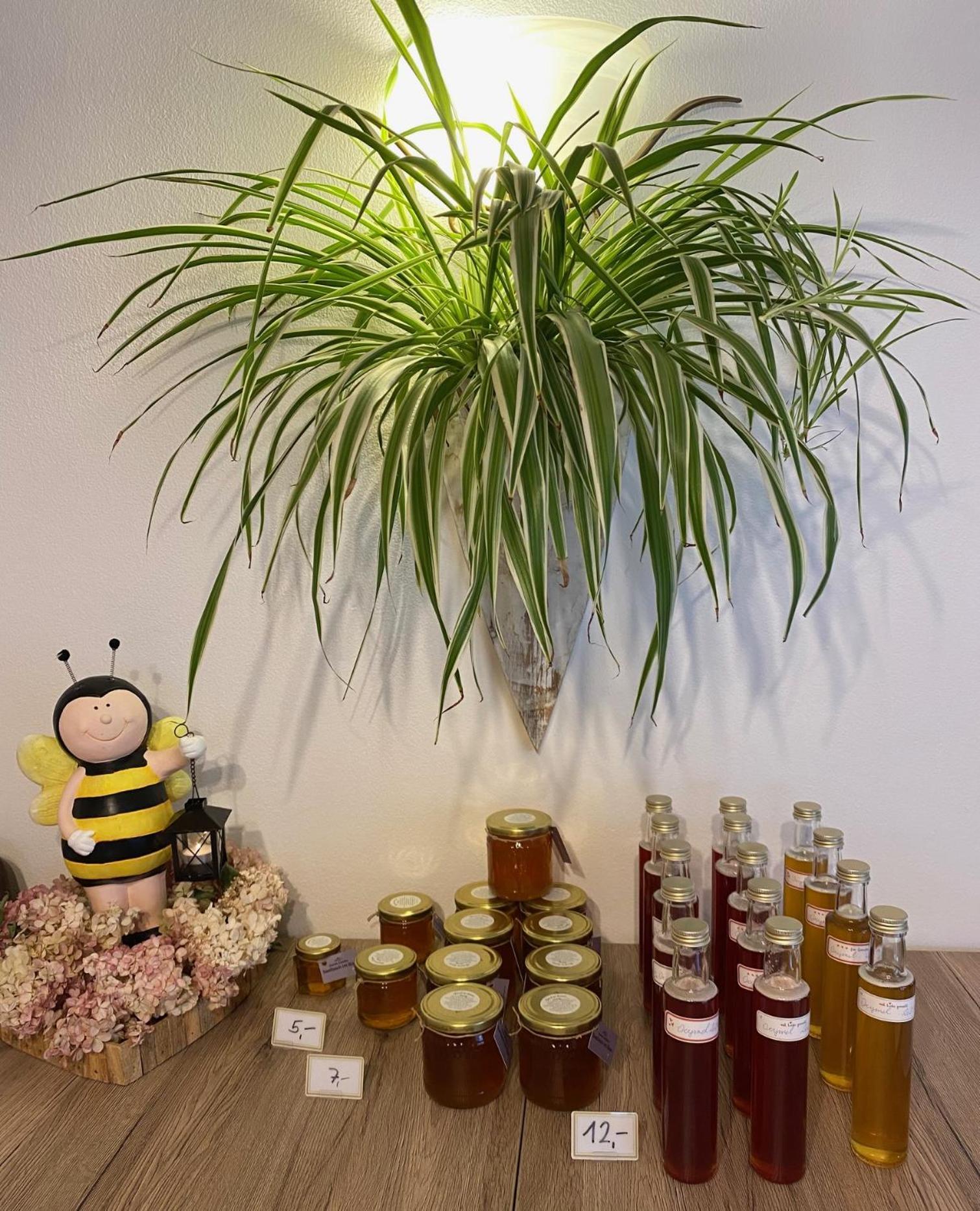 Am Zwoelferkogel Appartements 萨尔巴赫 外观 照片