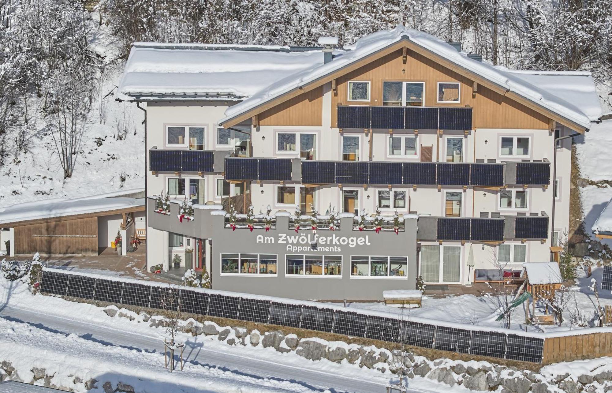 Am Zwoelferkogel Appartements 萨尔巴赫 外观 照片