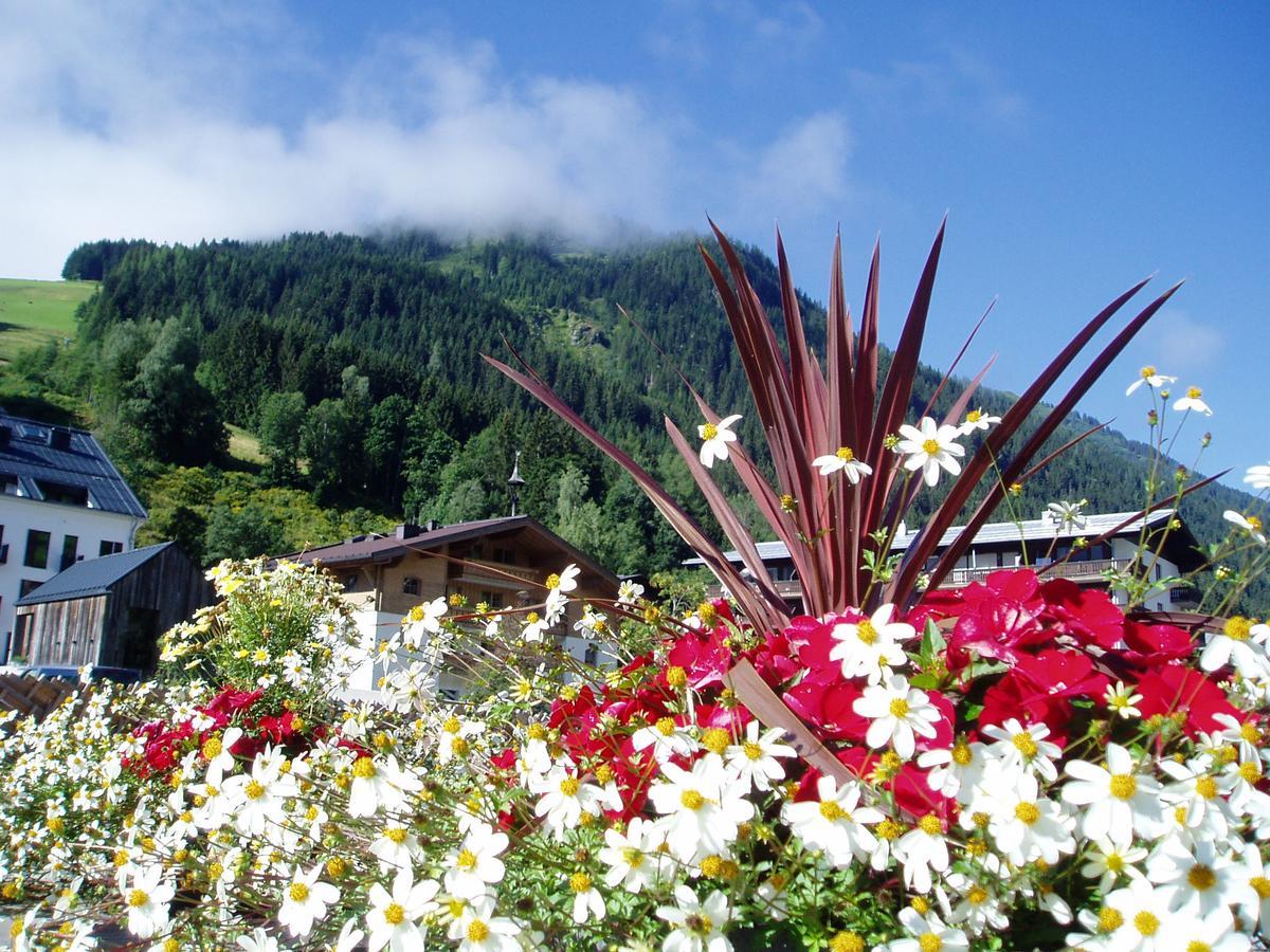 Am Zwoelferkogel Appartements 萨尔巴赫 外观 照片