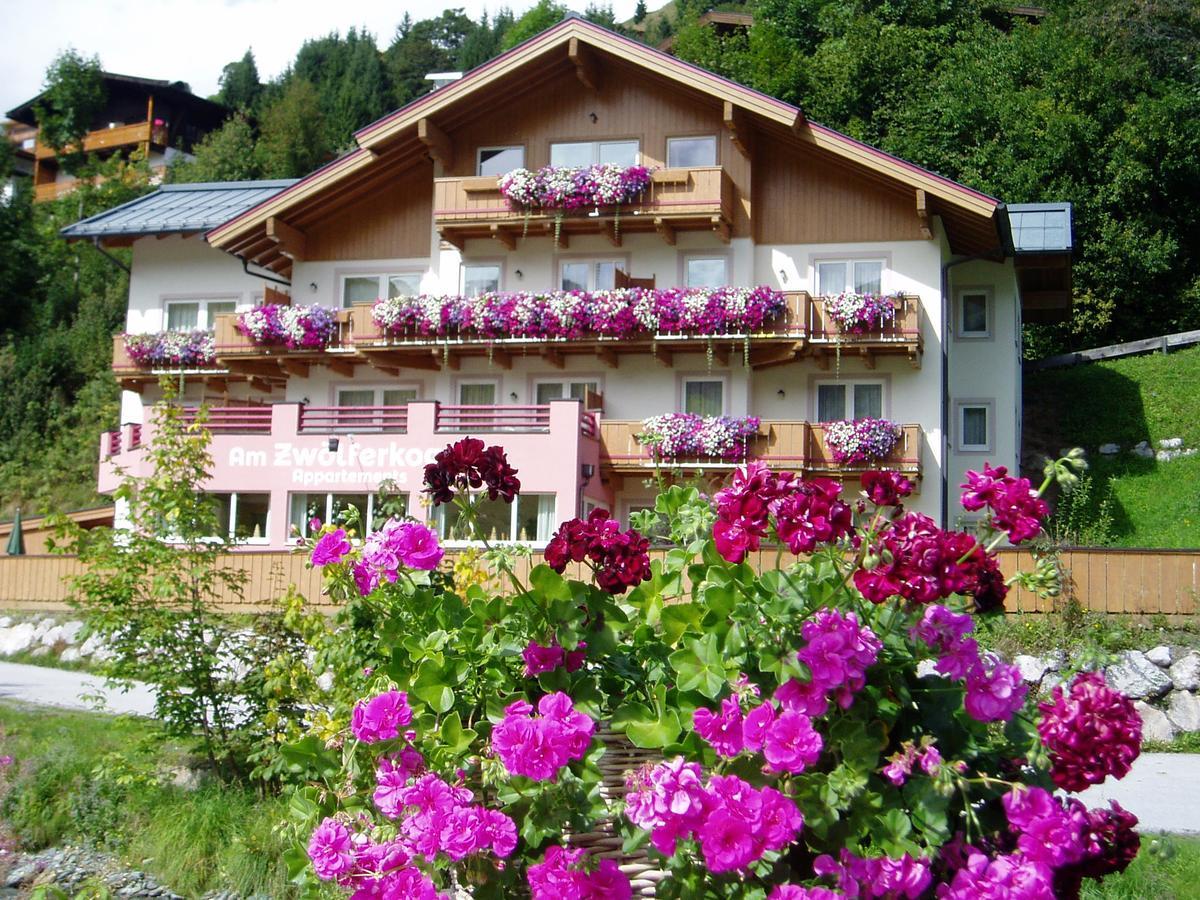 Am Zwoelferkogel Appartements 萨尔巴赫 外观 照片