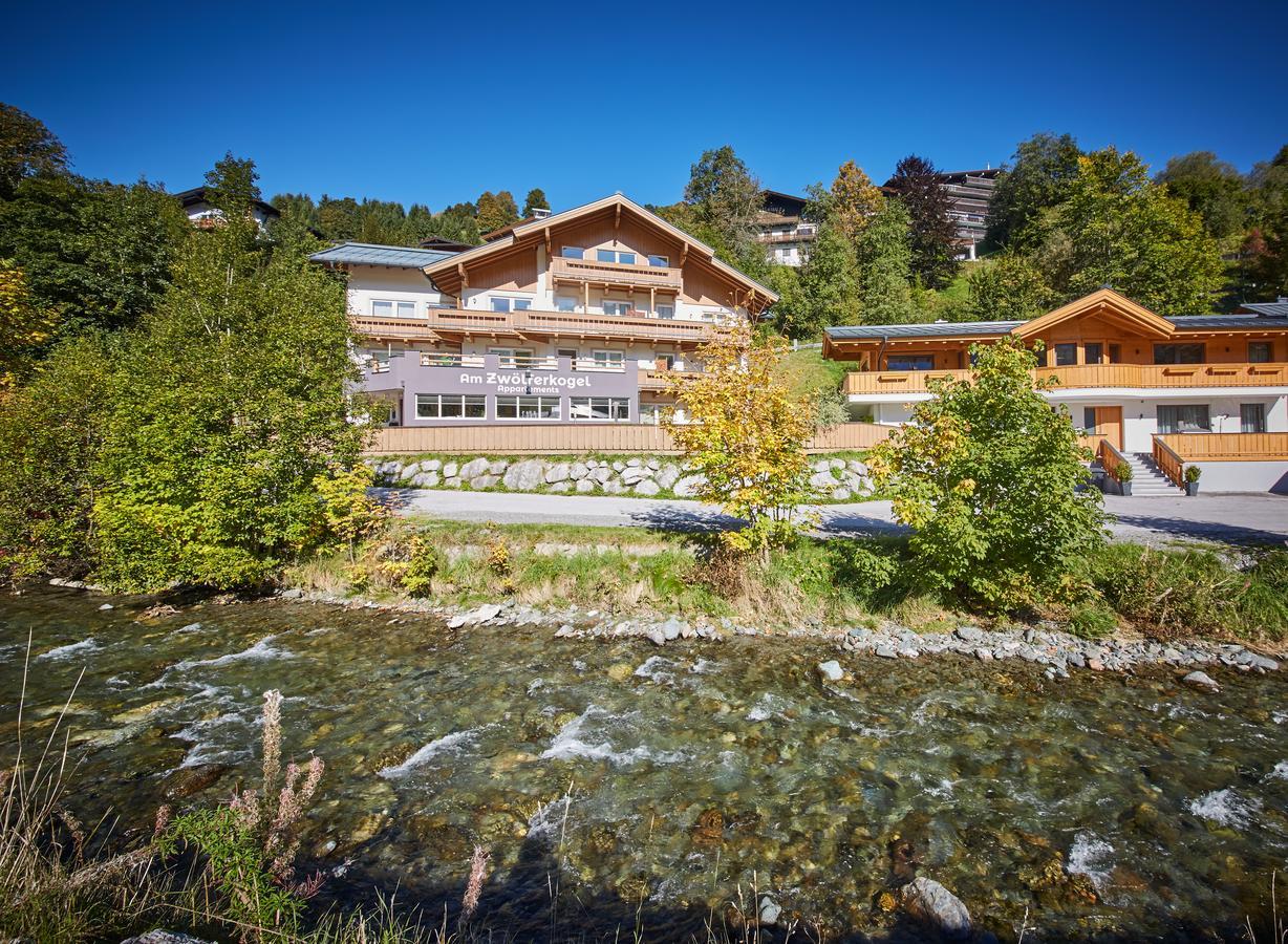 Am Zwoelferkogel Appartements 萨尔巴赫 外观 照片