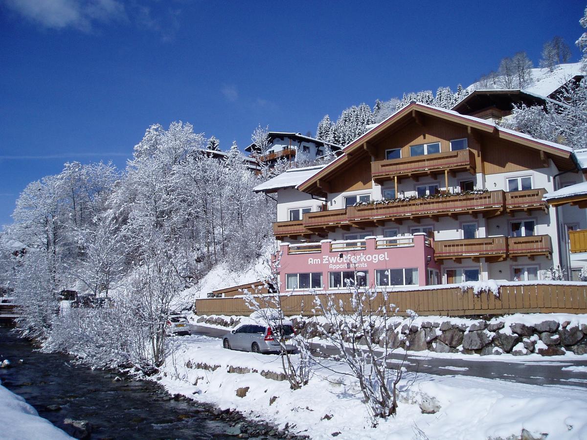 Am Zwoelferkogel Appartements 萨尔巴赫 外观 照片