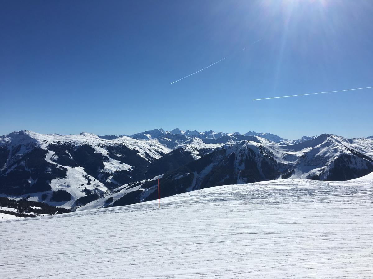 Am Zwoelferkogel Appartements 萨尔巴赫 外观 照片