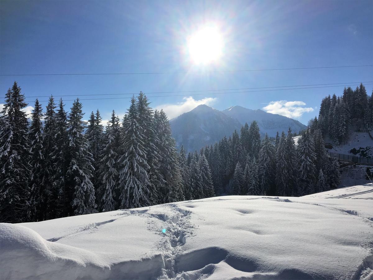 Am Zwoelferkogel Appartements 萨尔巴赫 外观 照片