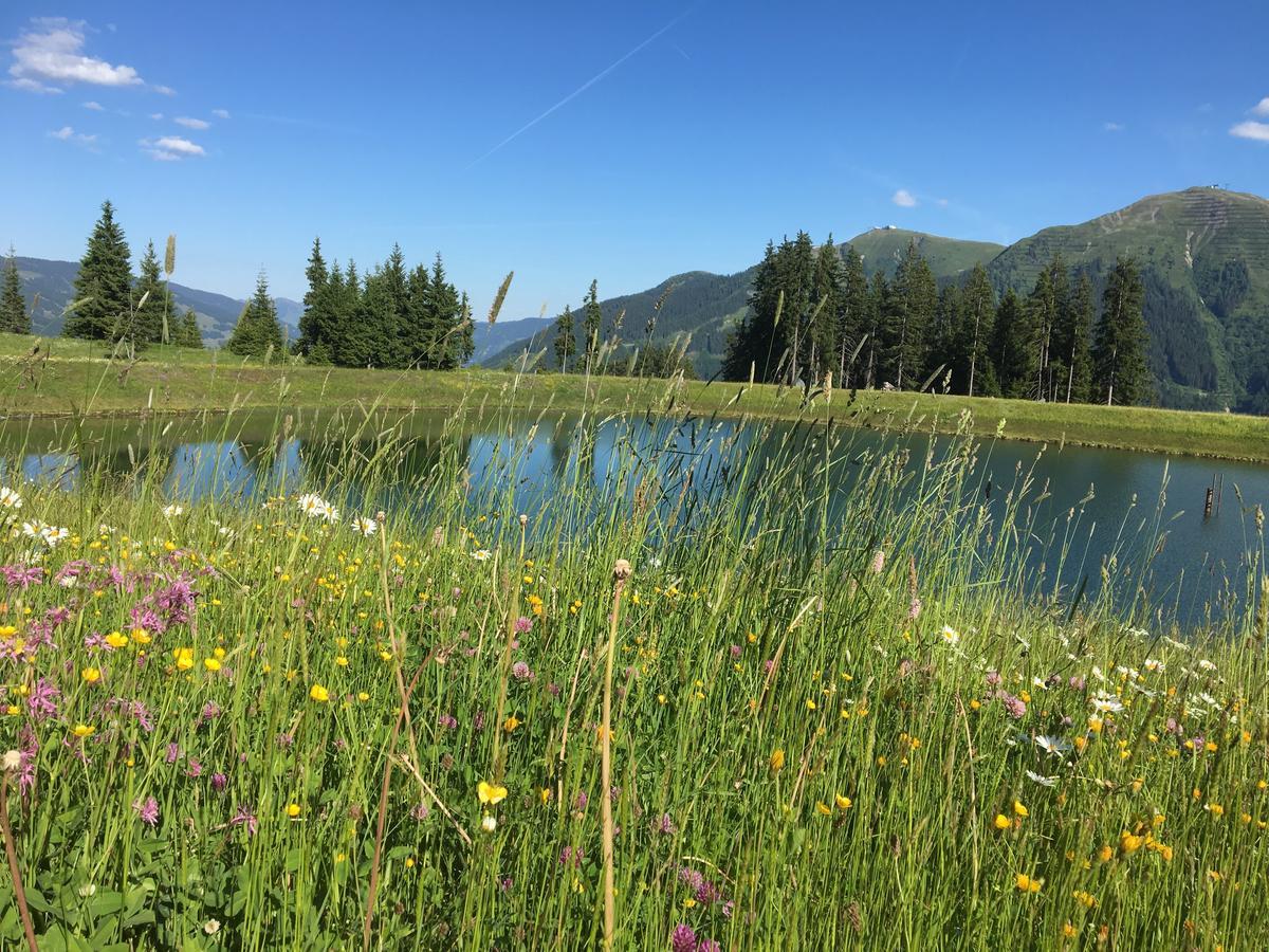 Am Zwoelferkogel Appartements 萨尔巴赫 外观 照片