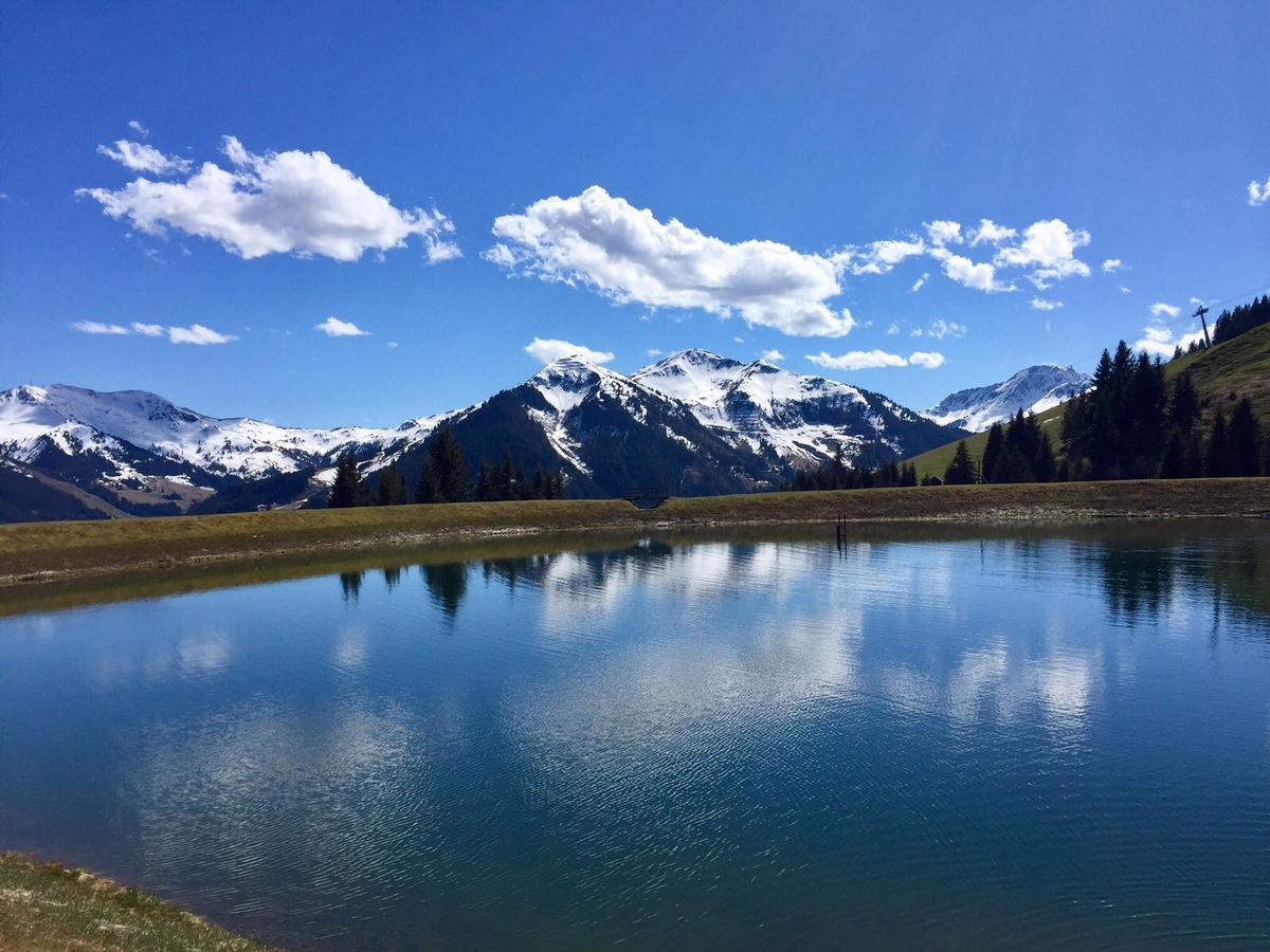 Am Zwoelferkogel Appartements 萨尔巴赫 外观 照片