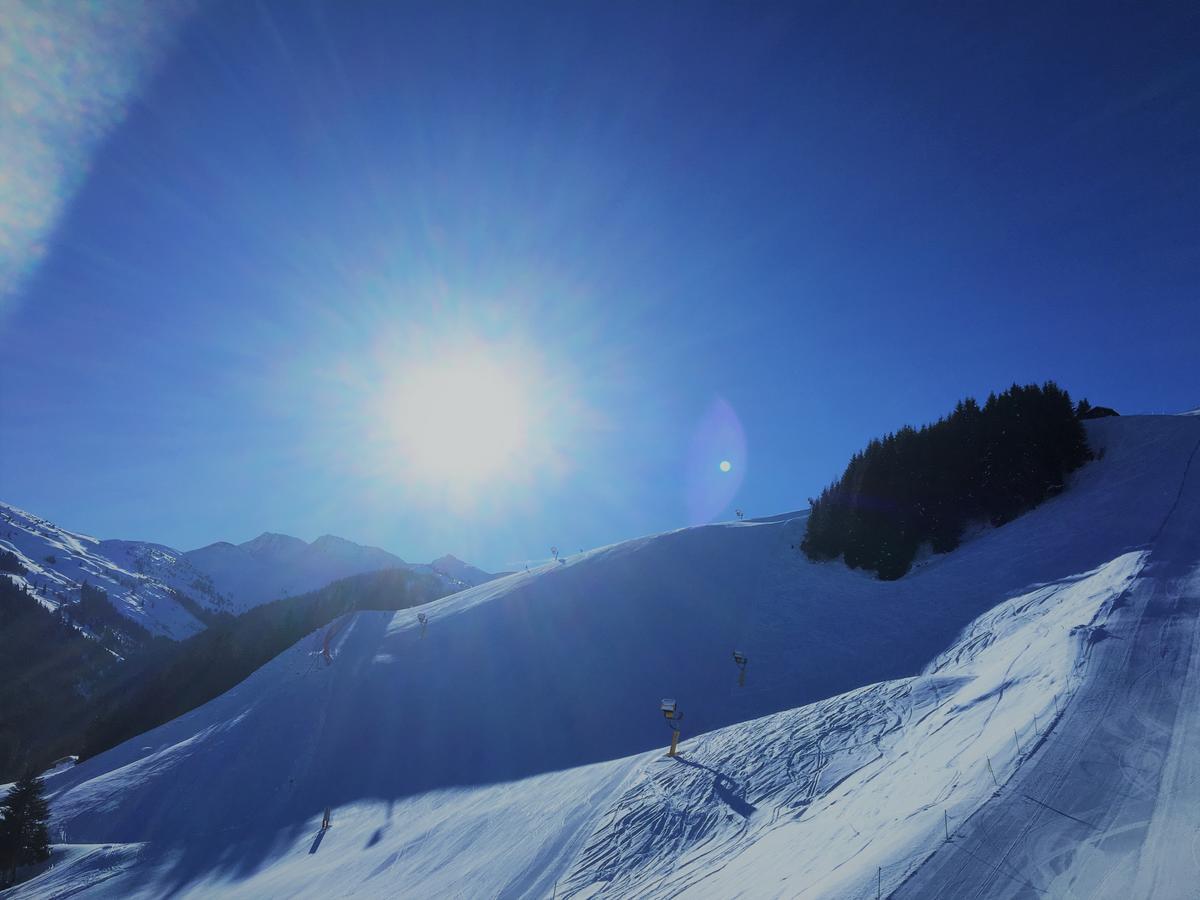 Am Zwoelferkogel Appartements 萨尔巴赫 外观 照片