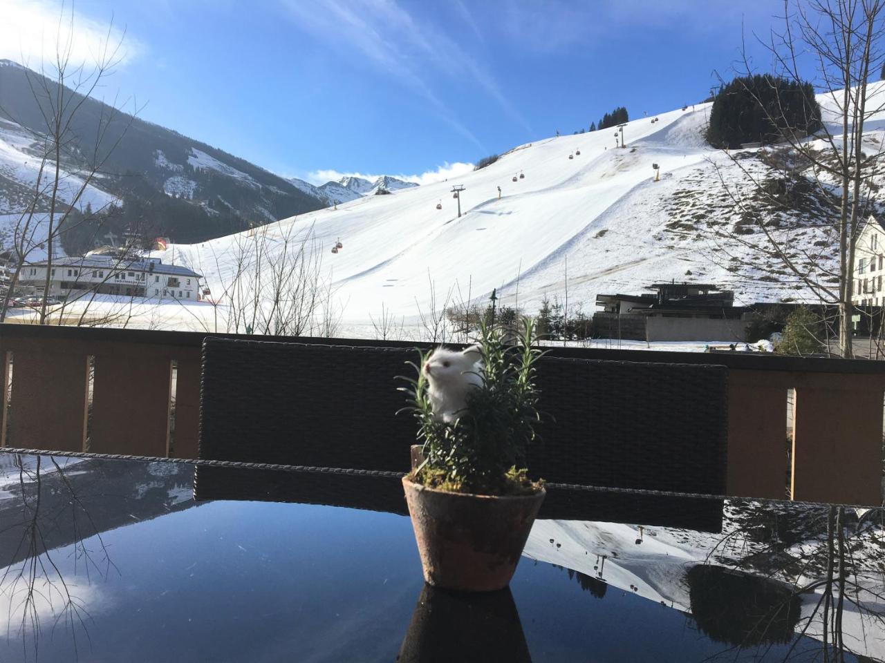 Am Zwoelferkogel Appartements 萨尔巴赫 外观 照片