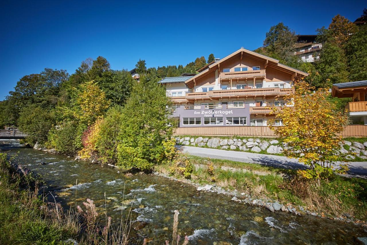 Am Zwoelferkogel Appartements 萨尔巴赫 外观 照片